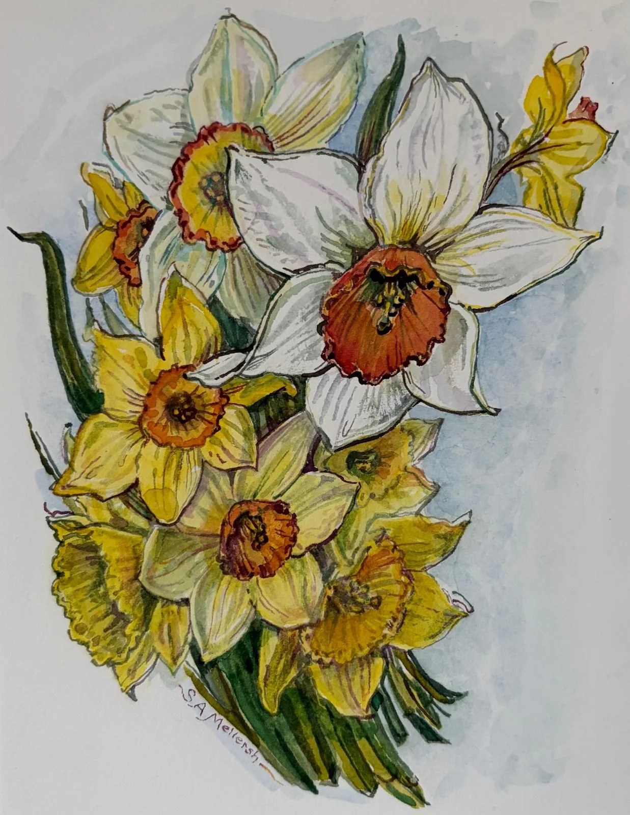 Sally's bright white and yellow daffodils.